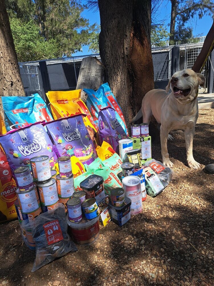 Sandys Animal Rescue